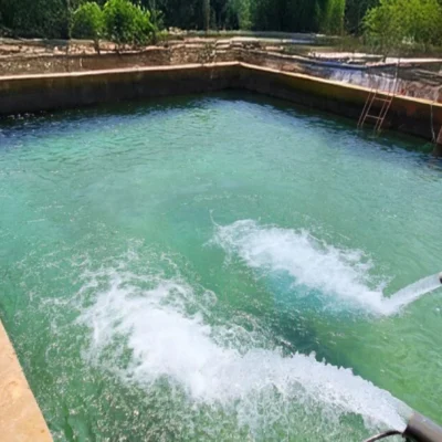 Avantages du pompage solaire pour l’agriculture