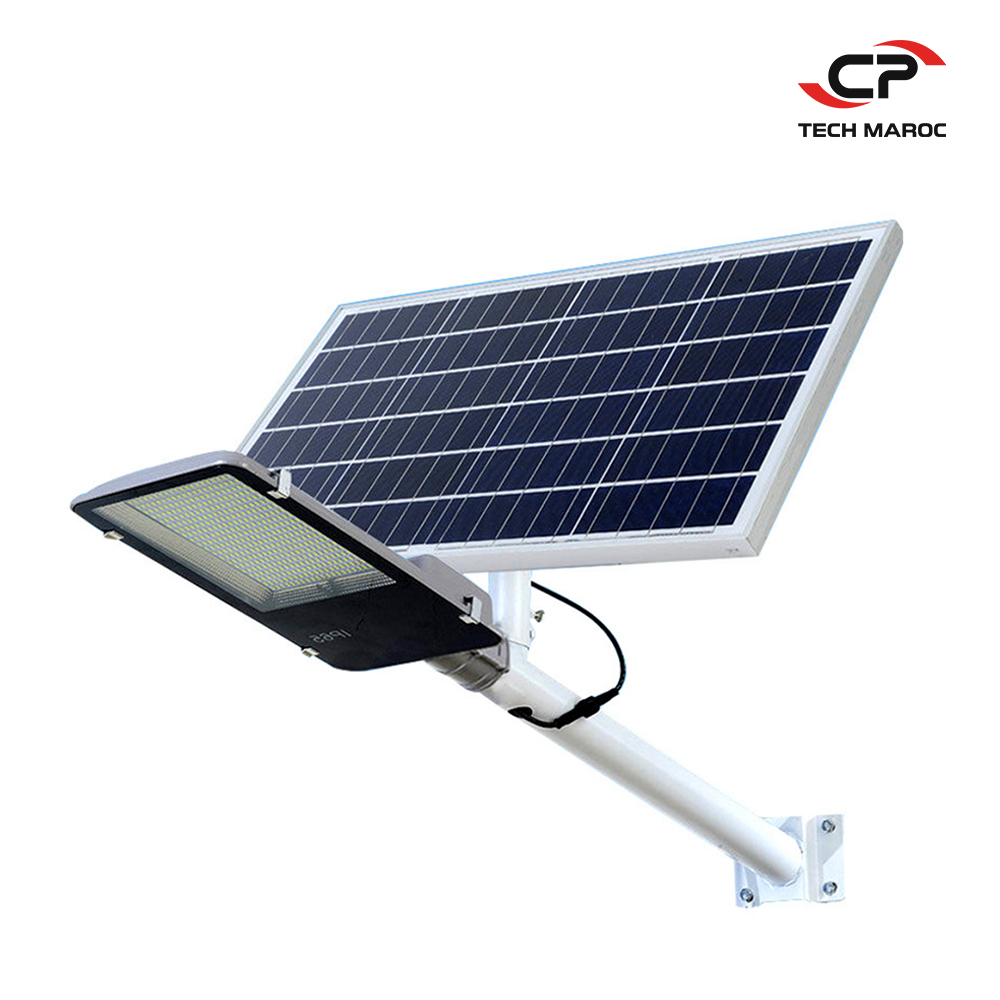Projecteur solaire Land Light IP 66 – Mono – 1.800 Lumen (250W