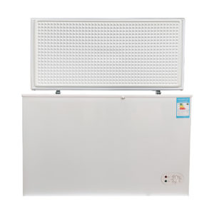 Réfrigérateur/ congélateur solaire dc- 12/24V- 309litres à faible consommation