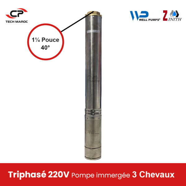 Pompe immergée WELL/ZINITH 4SP3/33 – Triphasé 220V- 3Chevaux- Diamètre 40°- HMT Max: 205 INOX