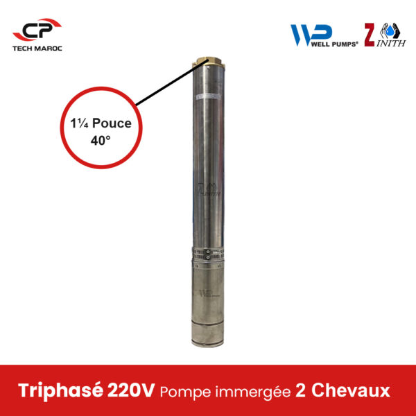 Pompe immergée WELL/ZINITH 4SP3/25 – Triphasé 220V- 2chevaux- Diamètre 40°- HMT Max: 155 INOX