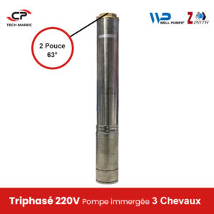 Pompe immergée WELL/ZINITH 4SP08/15 – Triphasé 220V- 3Chevaux- Diamètre 63°- HMT Max: 85 INOX